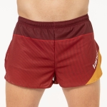 MEN'S SHORT PANTS – DRIVE